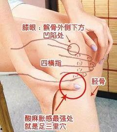拍打足三里视频,简单易学,健康生活新选择