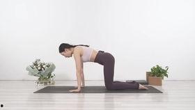 美容瑜伽视频教程初级,初级塑形与养颜秘籍