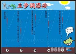 如何找底调漂视频,轻松掌握找底调漂技巧