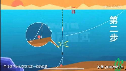 如何找底调漂视频,轻松掌握找底调漂技巧