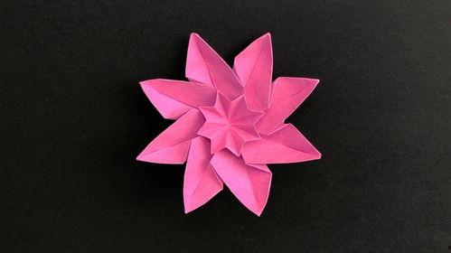 折花折纸视频,跟随折纸视频学制花艺术