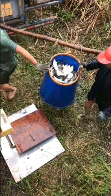 钓老鳖的视频,揭秘水中“金龟”的捕捞技巧与乐趣